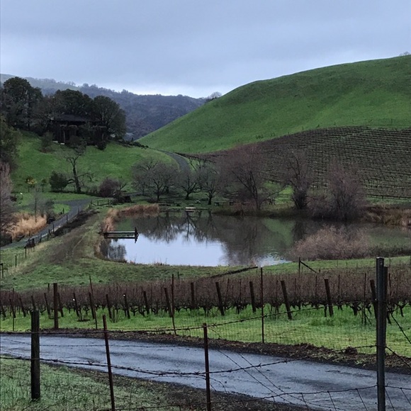 Meet your Posher, Lane - Picture 6 of 6